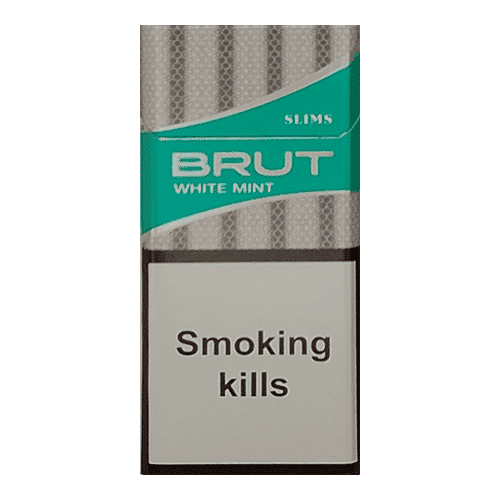 Сигареты Brut Slim White Mint (Брут Слим Вайт Мята)